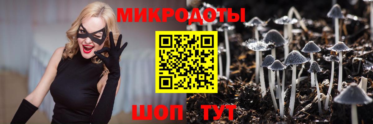 купить наркоту  Галлюциногенные грибы Psilocybine cubensis  Вход с VPN  Лангепас  Псилоцибиновые грибы мухоморы 
